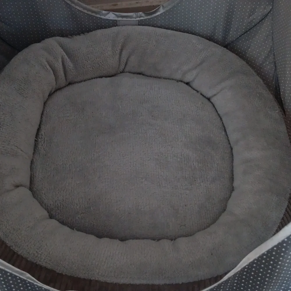 COPY - A cat bed